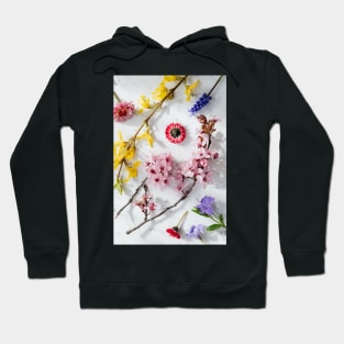 colorful flowers and plants pink & rose yellow blue purple Hoodie